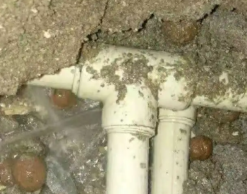 蒸湘测漏水多少钱