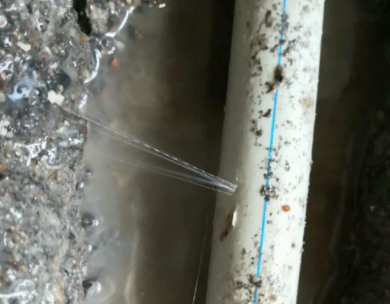 蒸湘测漏水哪家好