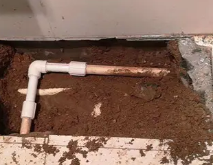 蒸湘测漏水哪家好