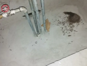 蒸湘卫生间测漏水价格明细