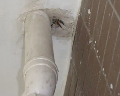 蒸湘漏水检测哪家好